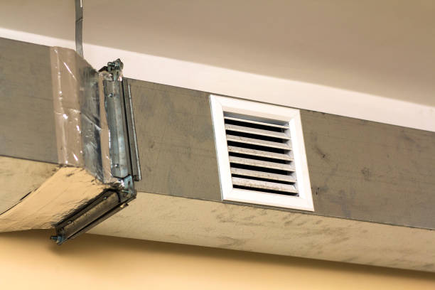 Air Duct Mold Removal in KY